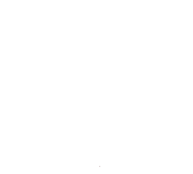 M.I.V. Logo Logo des M.I.V.